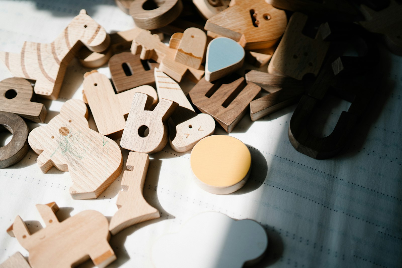 Kids — wooden educational animal and shape toys